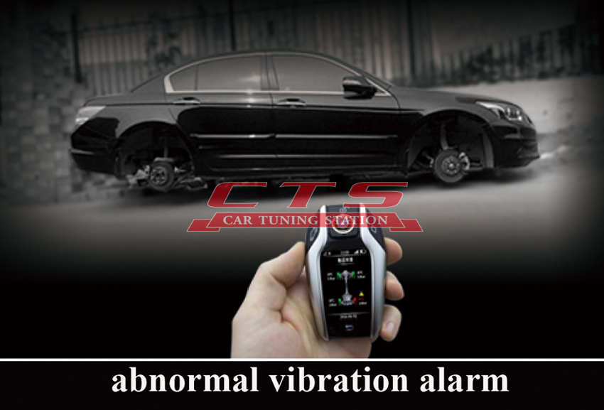 BMW DISPLAY KEY abnormal vibration alarm