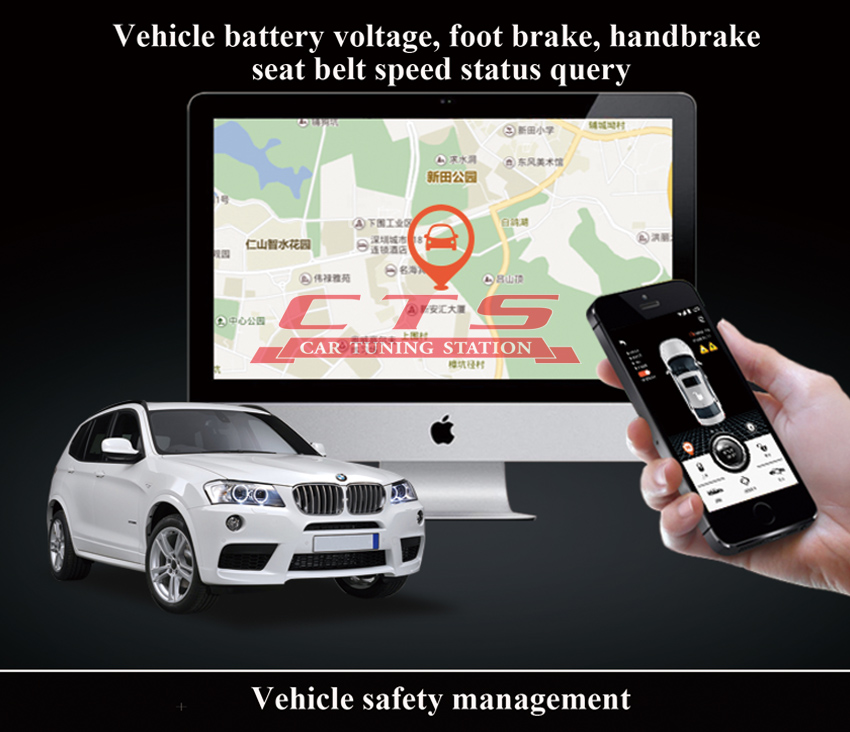 Vehicle battery voltage, foot brake, handbrake, seat belt speed status query